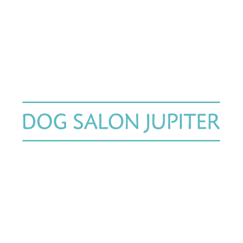 横浜市泉区のトリミングサロン Dog Salon Jupiter ビションフリーゼのトリミング